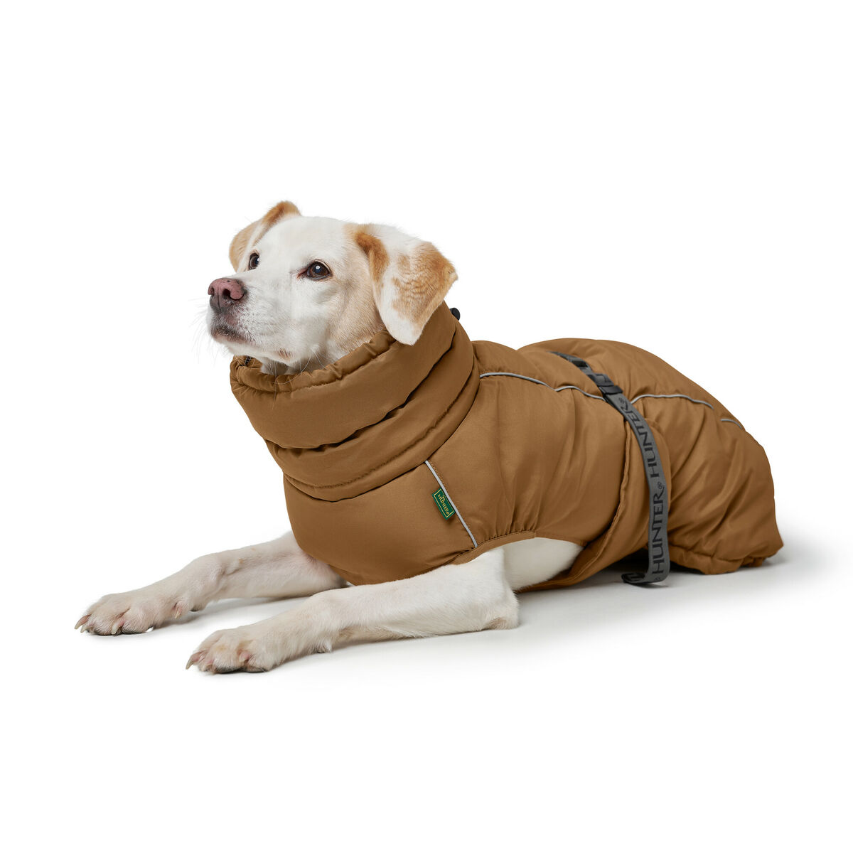 Roupa para mascotes Hunter PAXSON Castanho Poliéster 4 S6105121_3