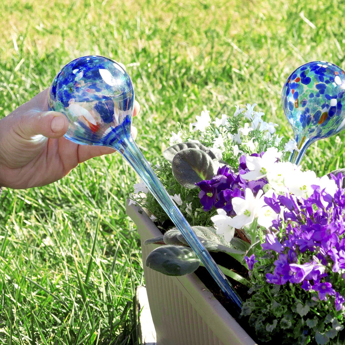Globos de Rega Automática Aqua·Loon InnovaGoods 2 Unidades 3 V0103017_2