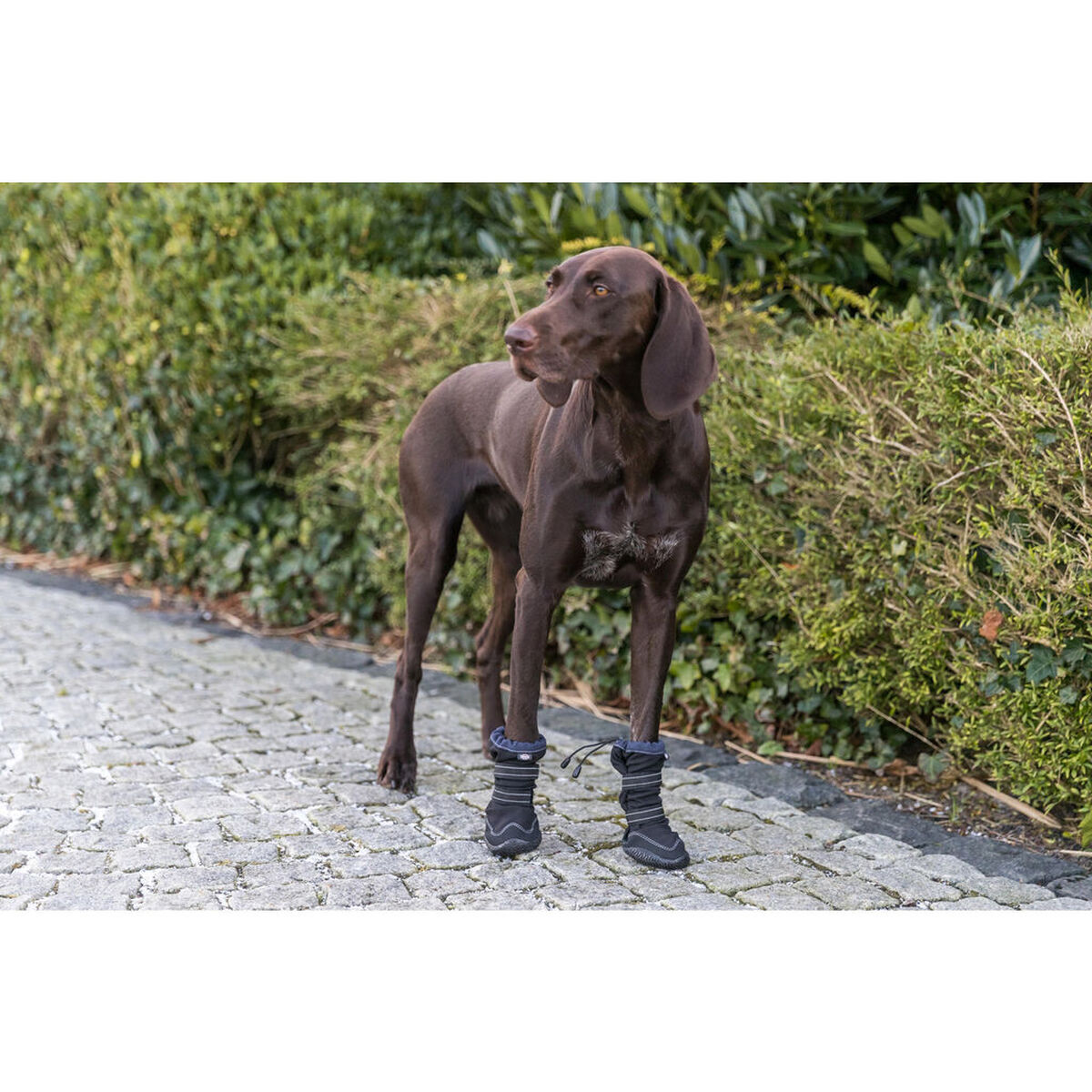 Andador de proteção de patas Trixie 19410 15 S0800434_14