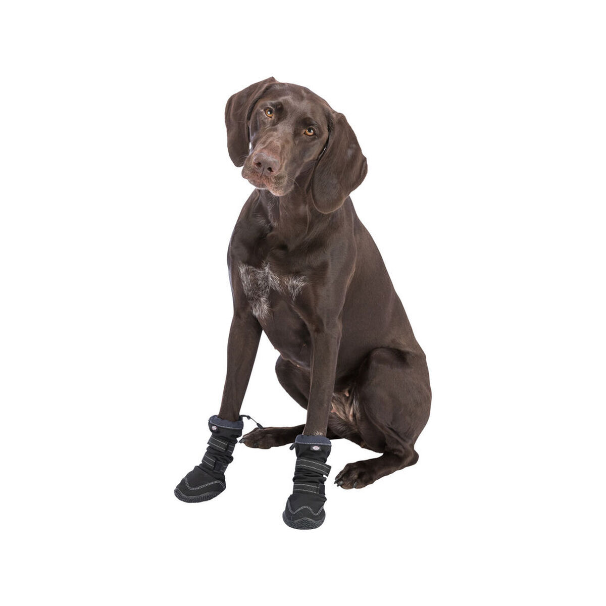 Andador de proteção de patas Trixie 19410 17 S0800434_16