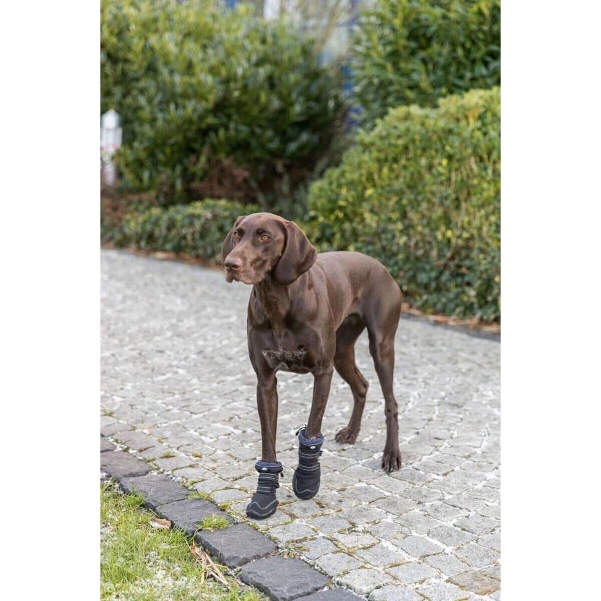 Andador de proteção de patas Trixie 19410 24 S0800434_23