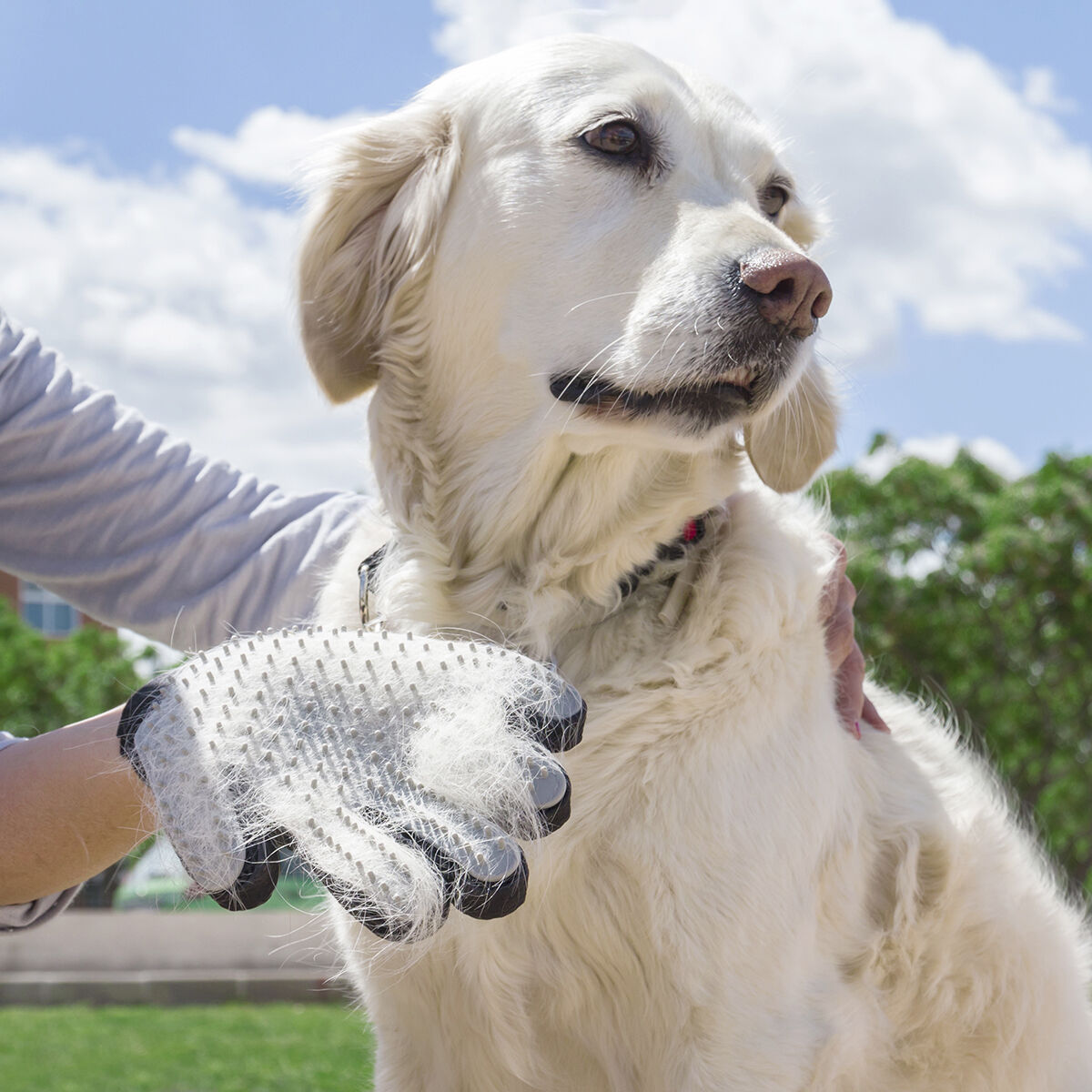 Luva para Escovar e Massajar Animais de Estimação Relpet InnovaGoods 1 V0101053_0