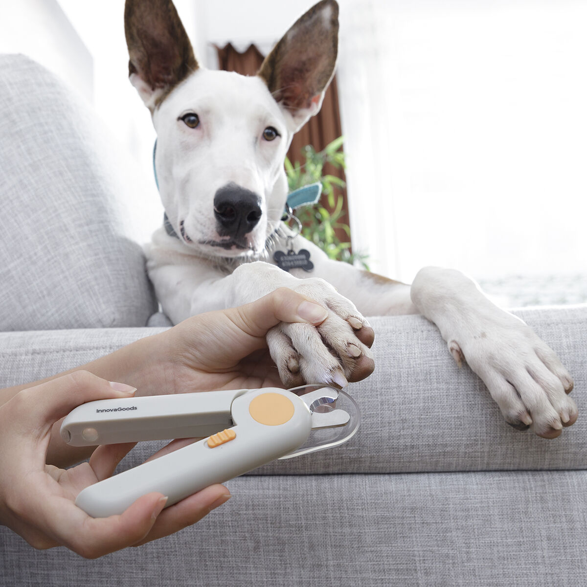 Corta-unhas com LED para Animais de Estimação Clipet InnovaGoods 4 V0103612_3